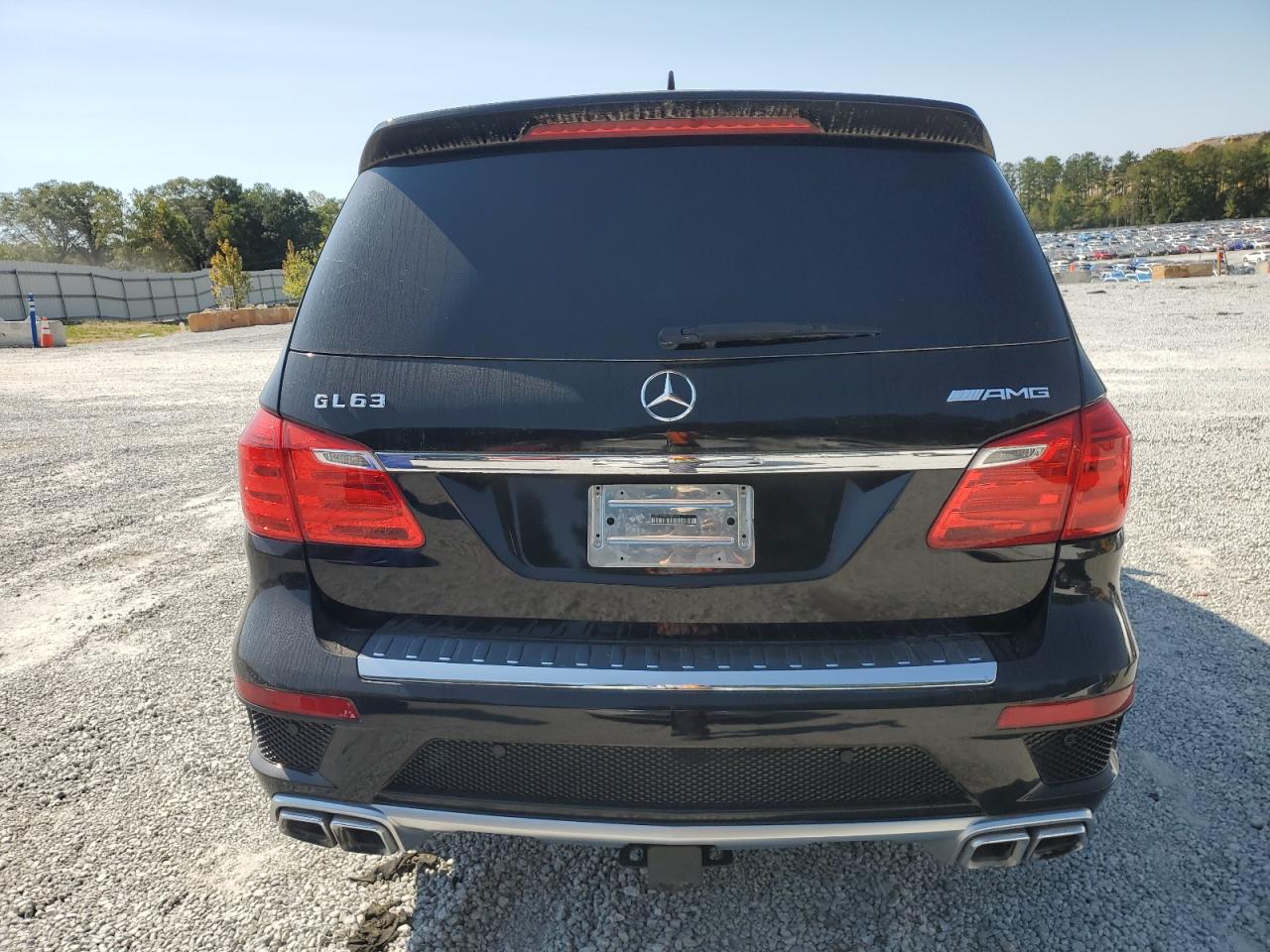 2014 Mercedes-Benz Gl 63 Amg VIN: 4JGDF7EEXEA304673 Lot: 75775564