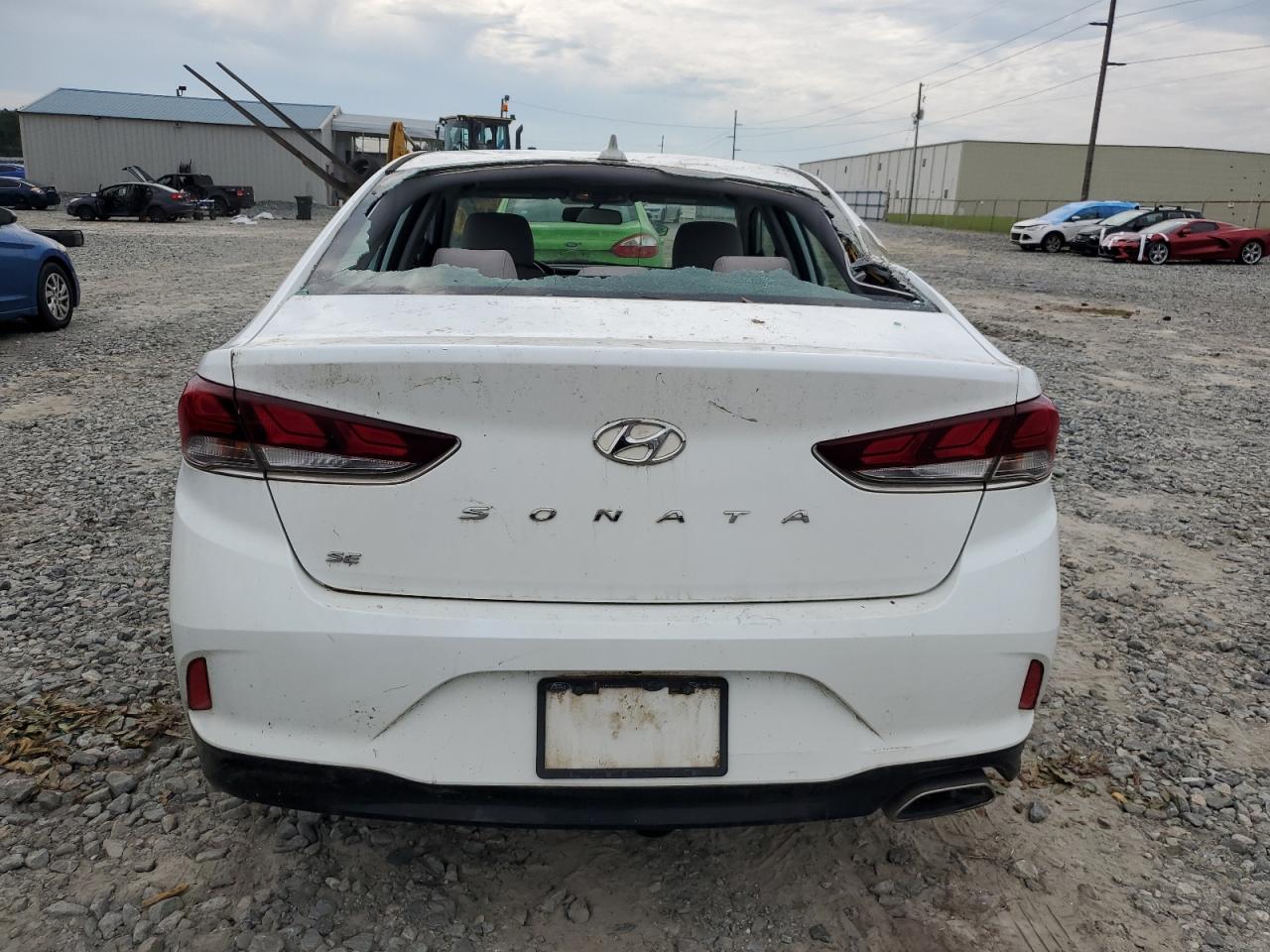 5NPE24AF4KH772369 2019 Hyundai Sonata Se