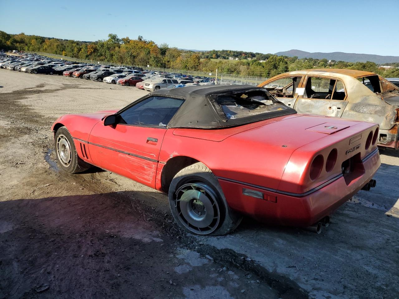 1990 Chevrolet Corvette - Image 2