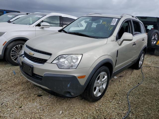  CHEVROLET CAPTIVA 2013 Колір засмаги