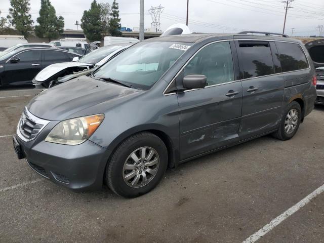 2010 Honda Odyssey Exl