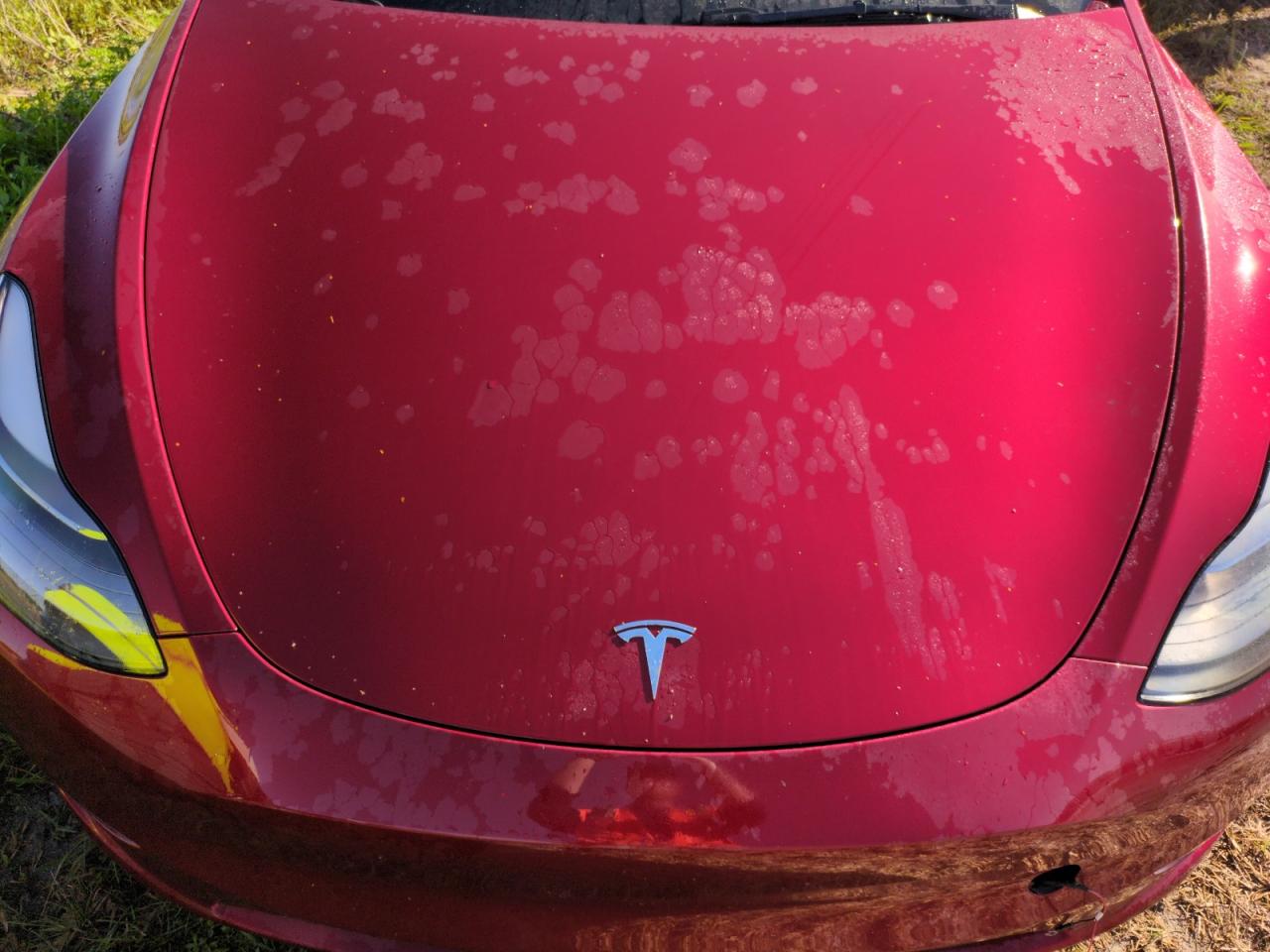 7SAYGDEF9RA263606 2024 Tesla Model Y