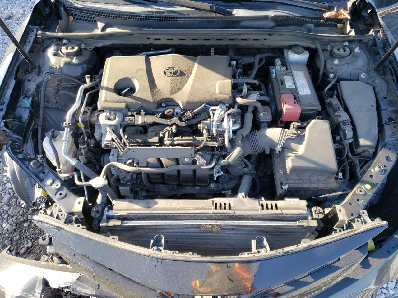 2019 Toyota Camry L VIN: 4T1B11HK4KU194881 Lot: 73210634