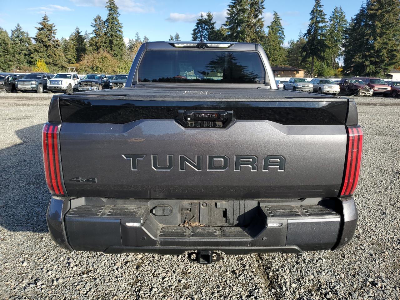 2023 Toyota Tundra Crewmax Platinum VIN: 5TFNC5DB7PX014081 Lot: 77181964