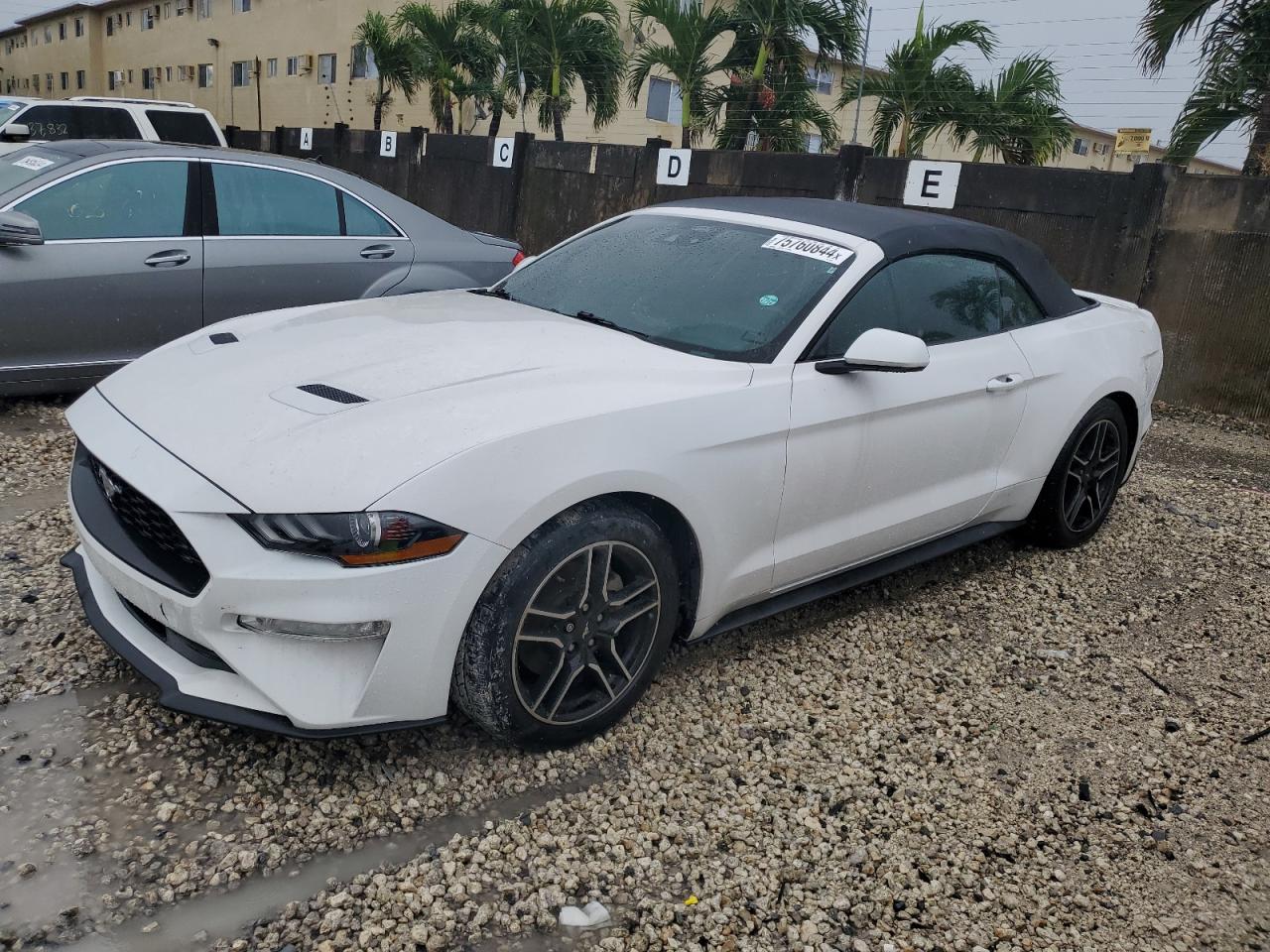 2021 Ford Mustang - Image 1
