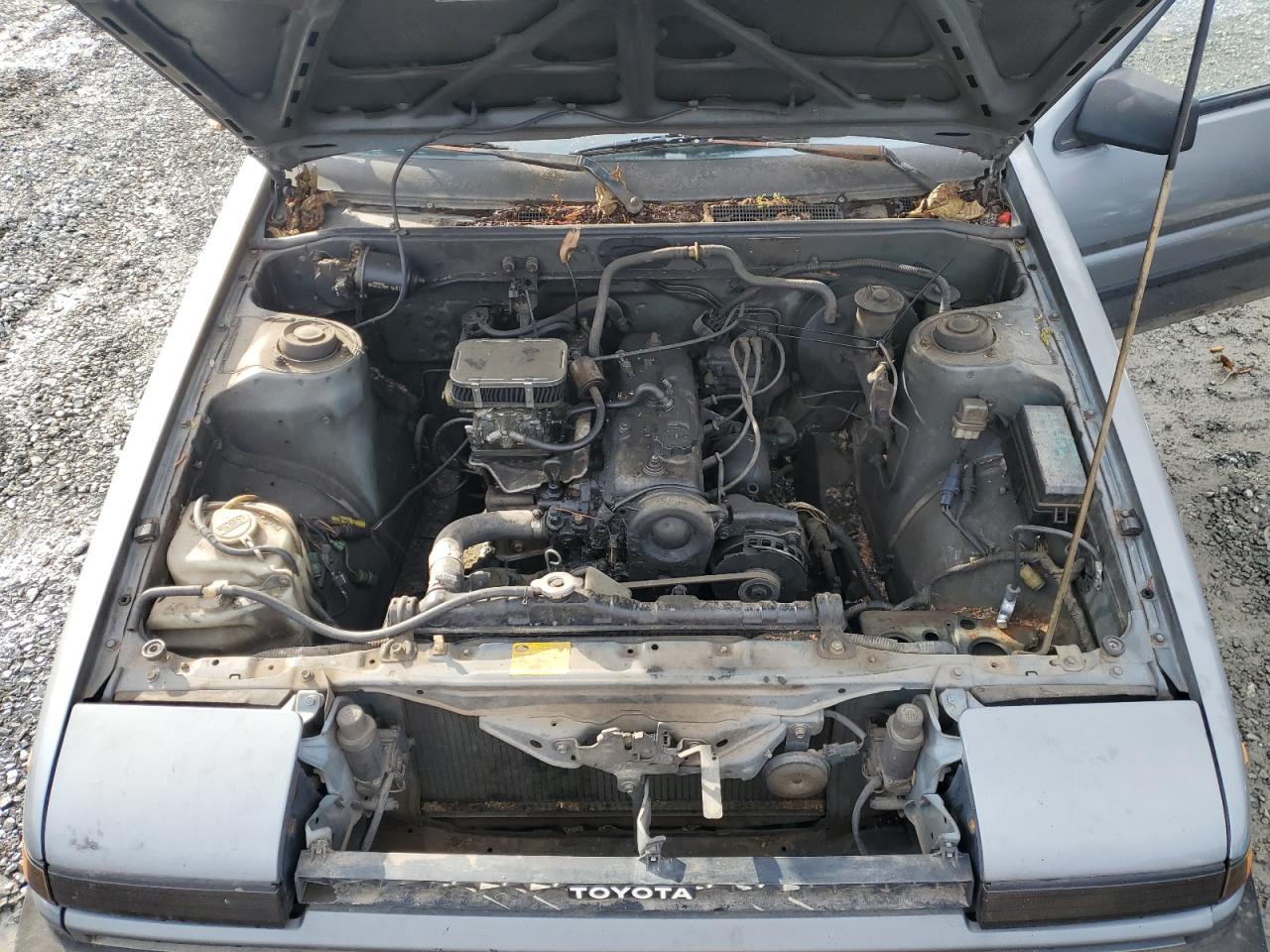 JT2AE86C1G0224337 1986 Toyota Corolla Sport Sr5 JT2AE86C1G0224337 1986 Toyota Corolla Sport Sr5