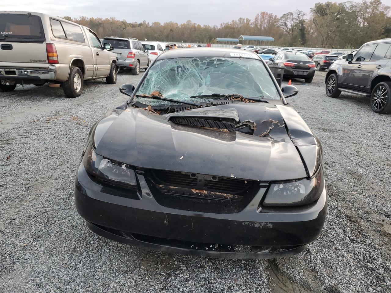 2004 Ford Mustang - Image 5
