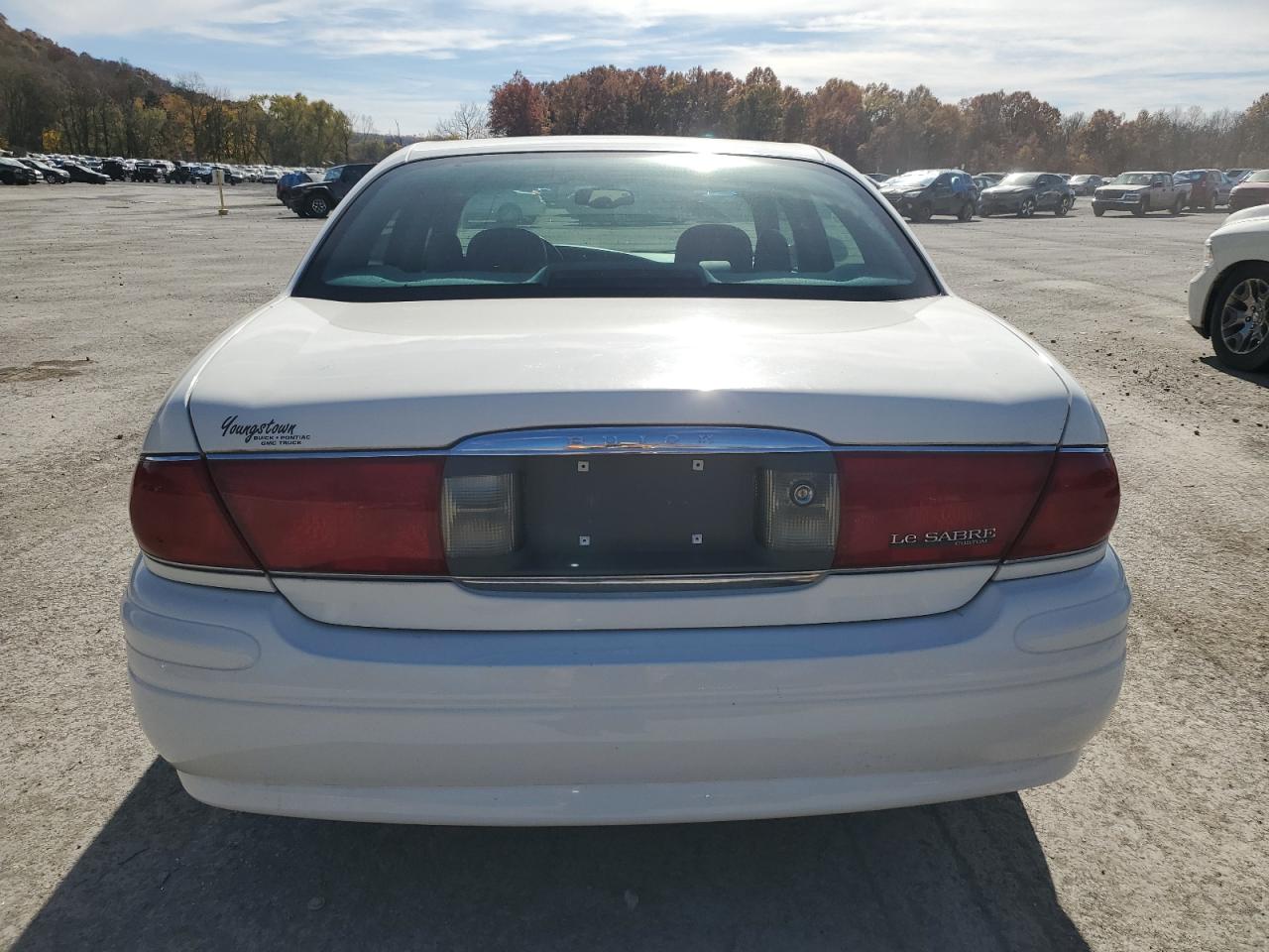 2004 Buick Lesabre Custom VIN: 1G4HP52K744125095 Lot: 77758024