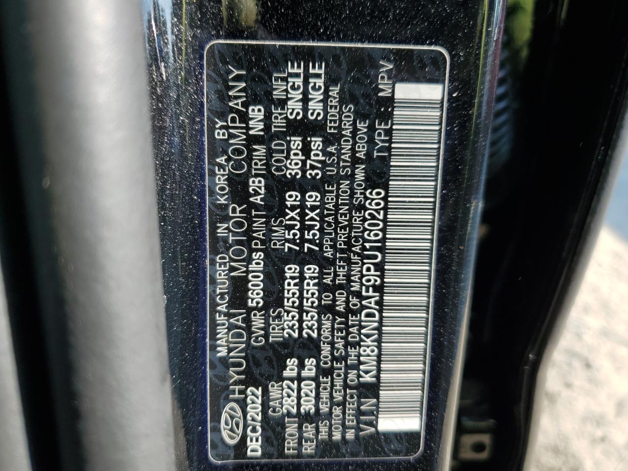 KM8KNDAF9PU160266 2023 Hyundai Ioniq 5 Sel