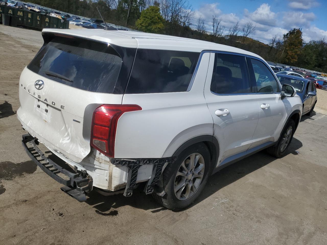 2020 Hyundai Palisade Se VIN: KM8R1DHE8LU036720 Lot: 74960224