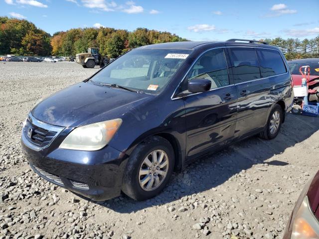 2008 Honda Odyssey Exl