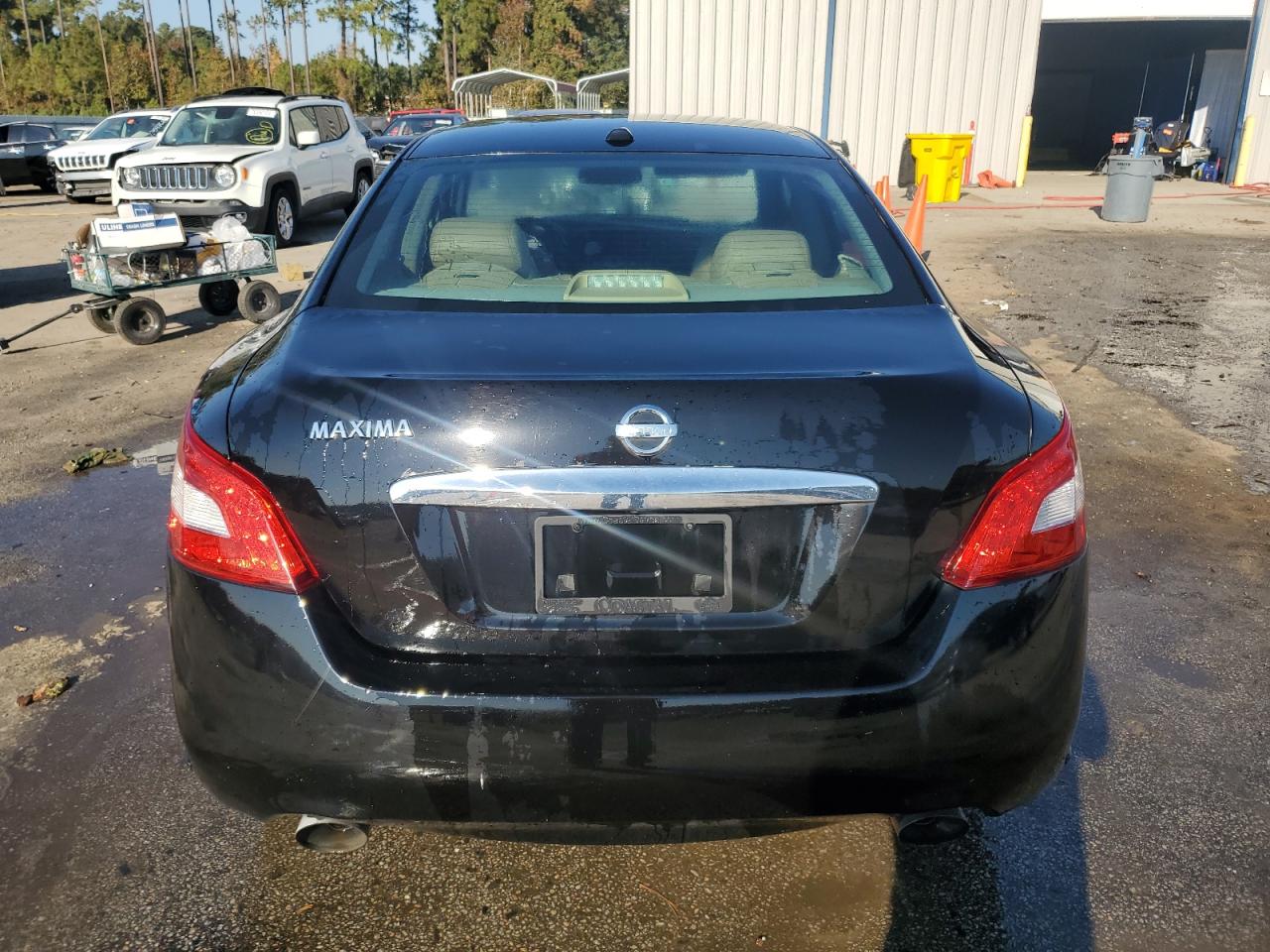 2010 Nissan Maxima S VIN: 1N4AA5AP1AC822256 Lot: 77817744