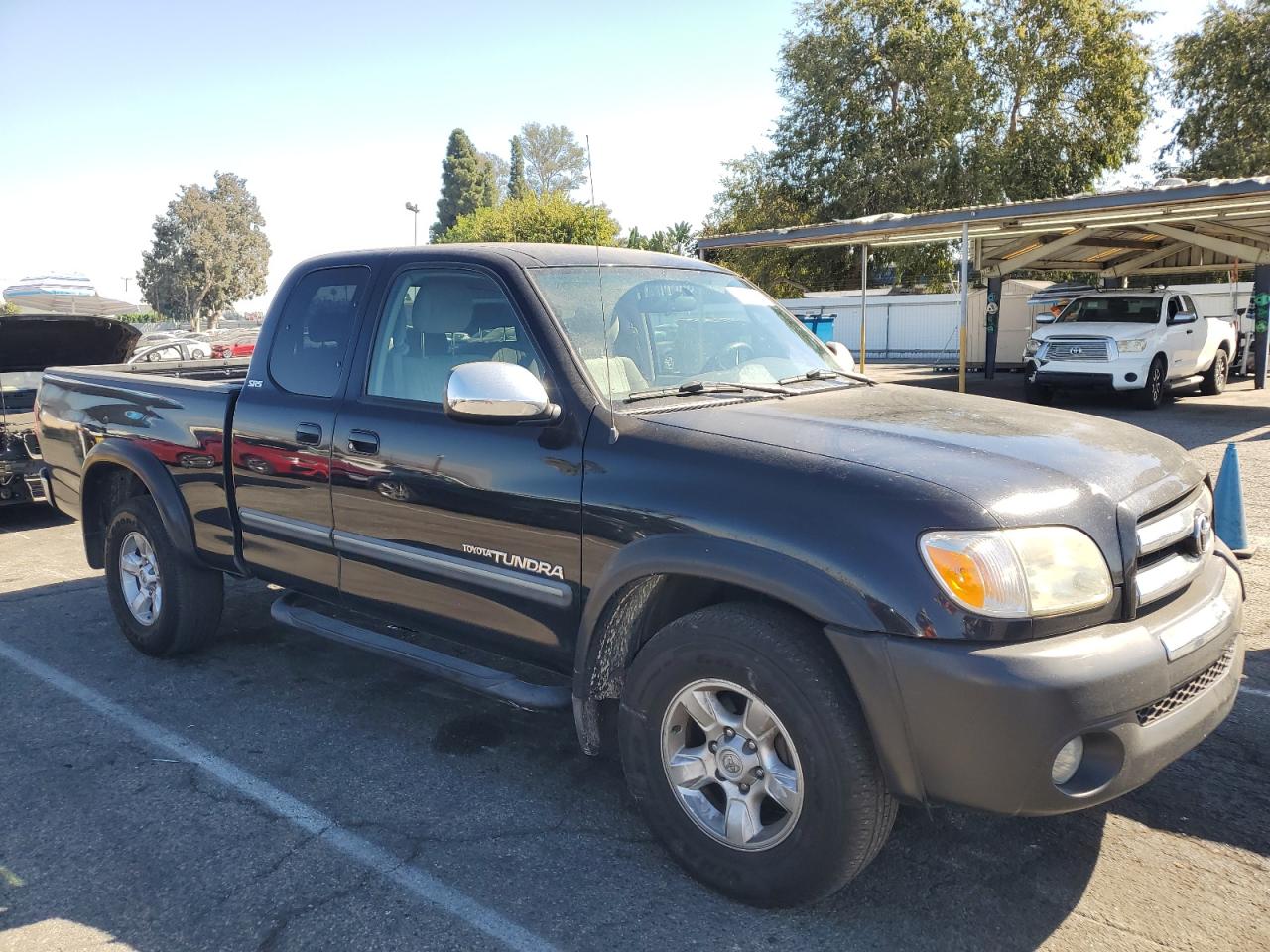 2006 Toyota Tundra Access Cab Sr5 VIN: 5TBRT34176S482838 Lot: 77490734