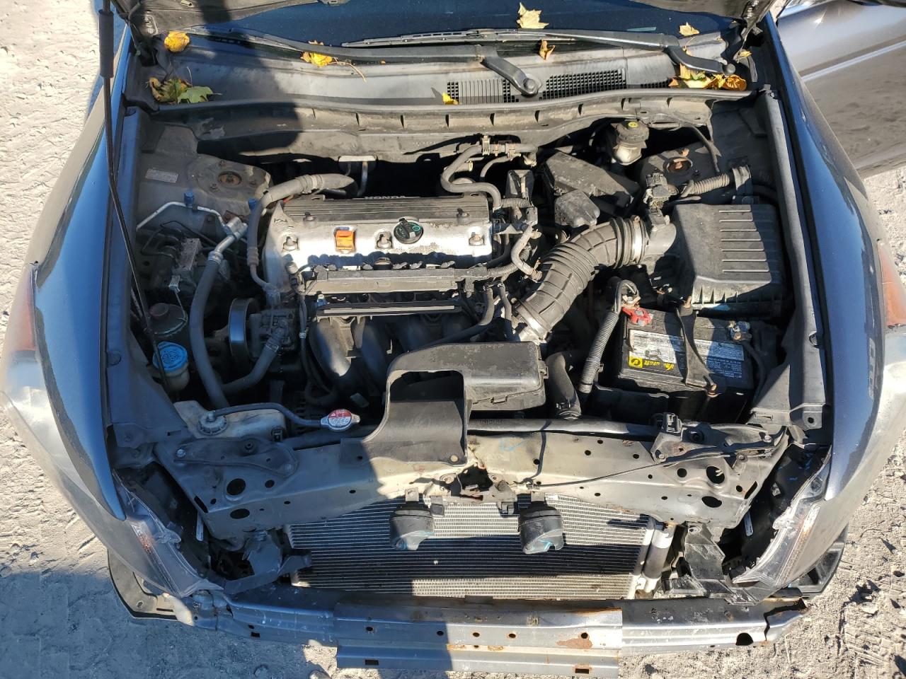 2010 Honda Accord Lx VIN: 1HGCP2F31AA156437 Lot: 74788914