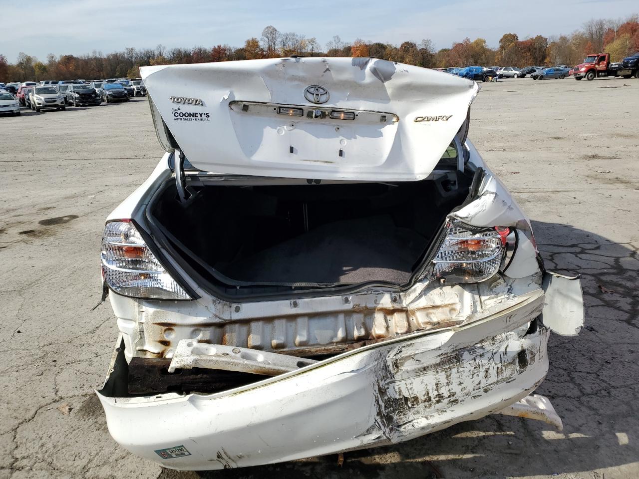 2004 Toyota Camry Le VIN: JTDBE32K440245447 Lot: 77756454