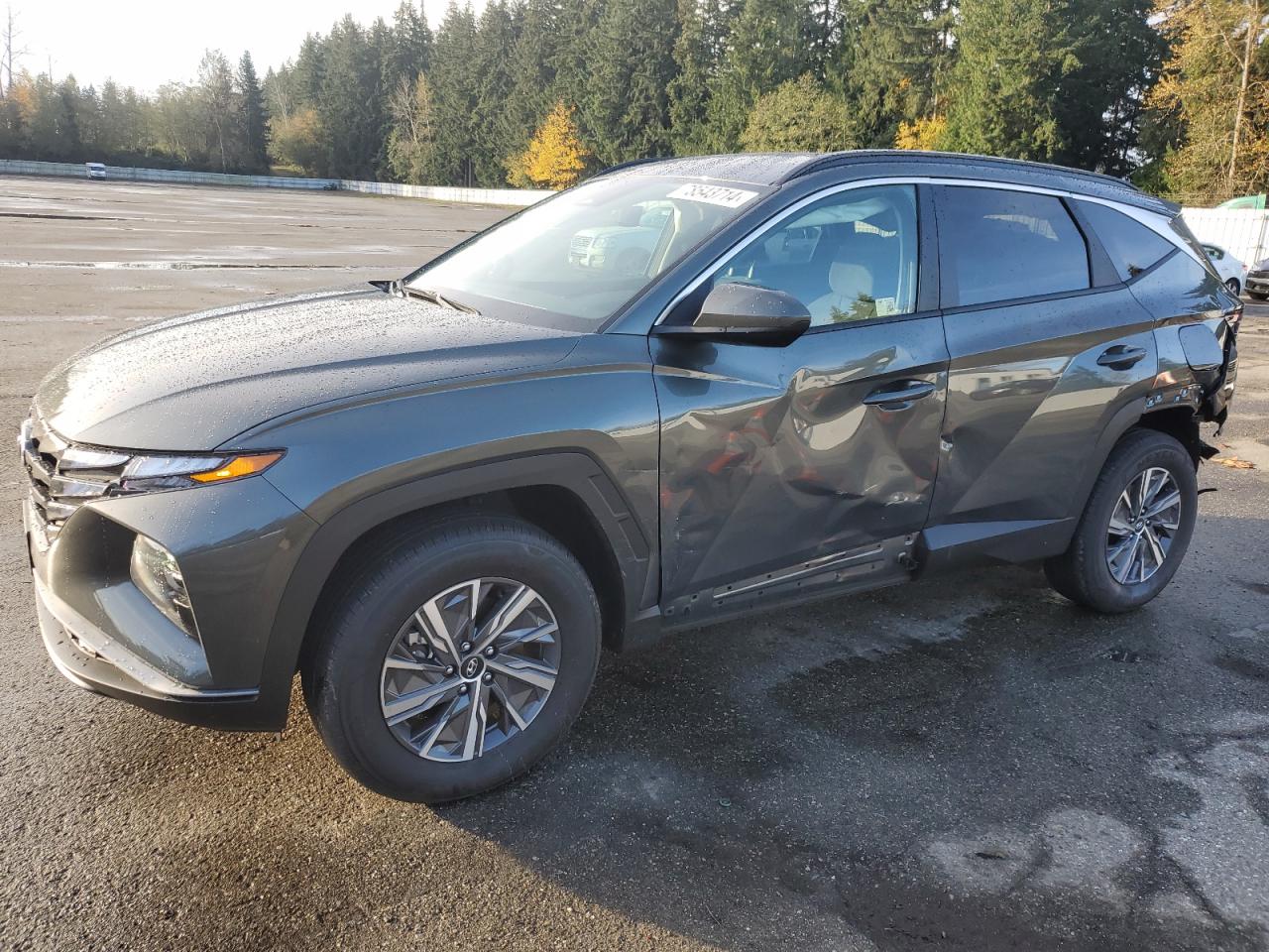 2024 Hyundai Tucson - Image 1