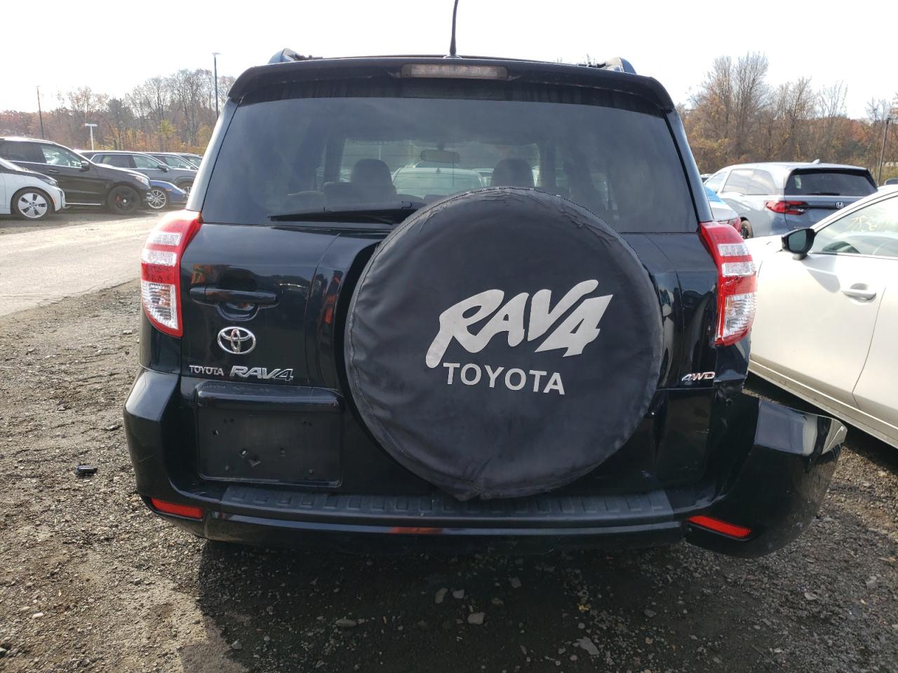 2010 Toyota Rav4 VIN: JTMBF4DV2AD029854 Lot: 77786684