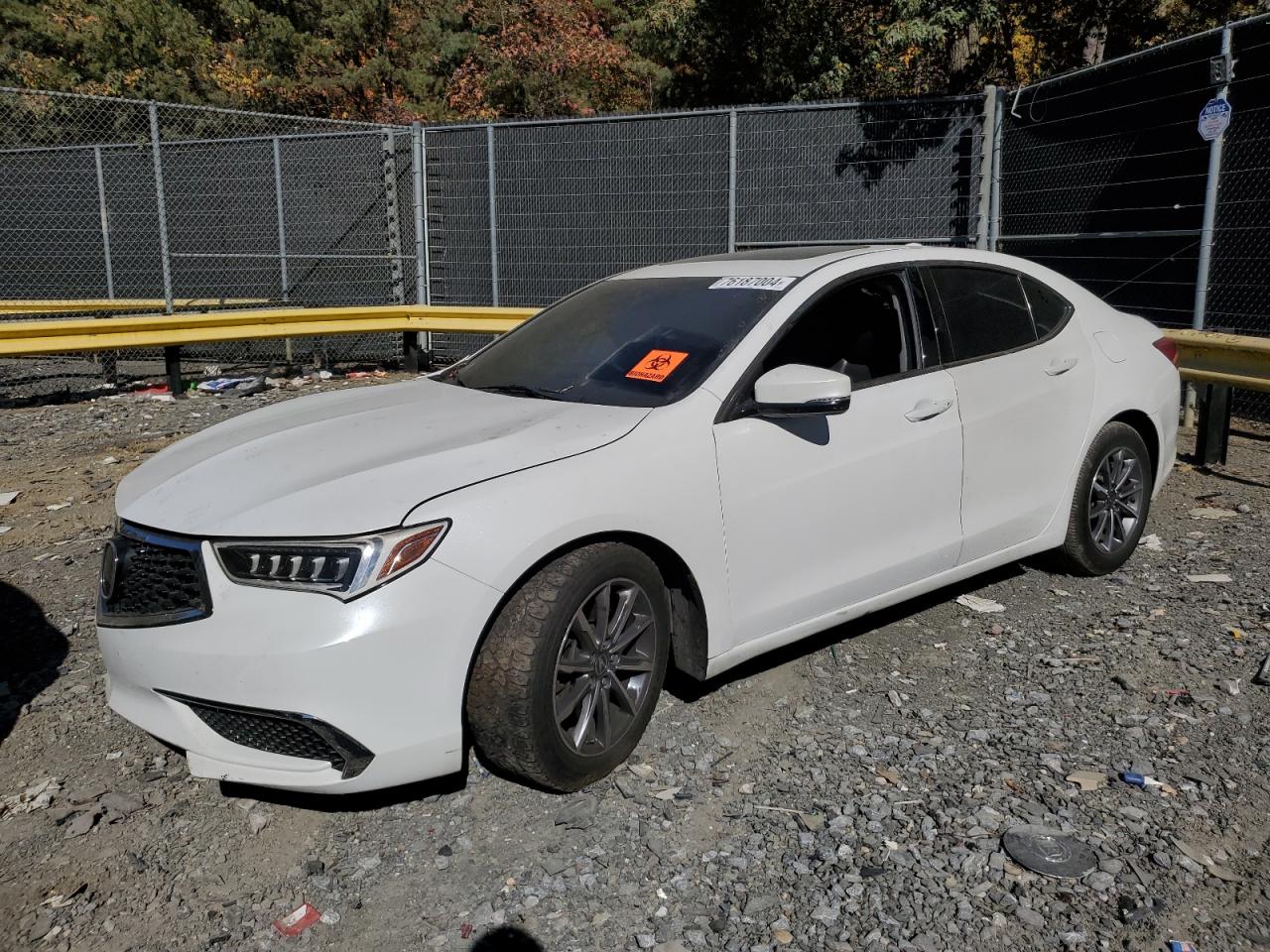 2020 Acura Tlx Technology VIN: 19UUB1F58LA000641 Lot: 76187004