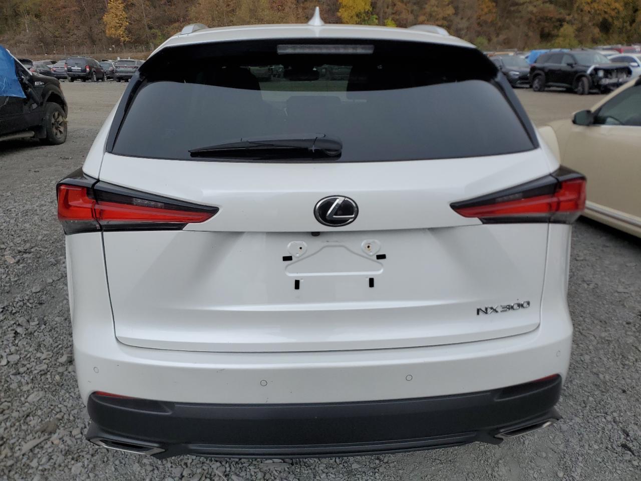 VIN JTJGARDZ8L2218377 2020 LEXUS NX no.6