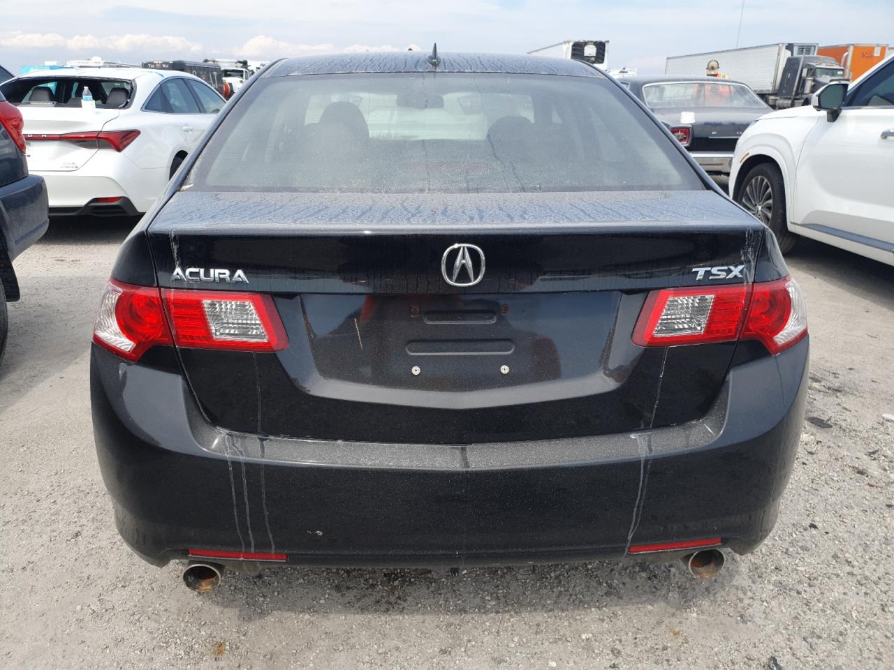 2010 Acura Tsx VIN: JH4CU2F6XAC043655 Lot: 74693404