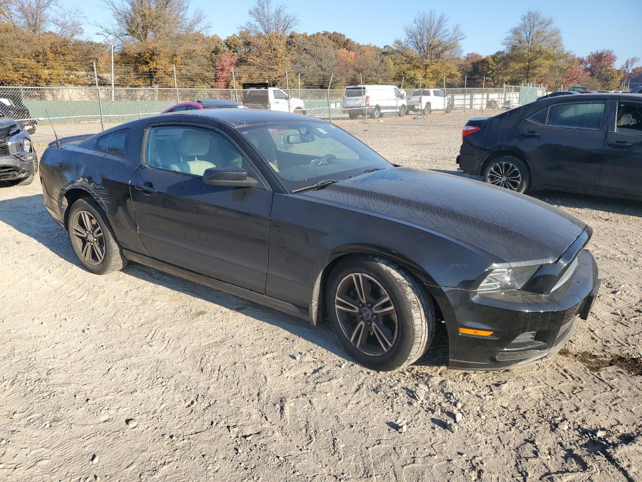 2013 Ford Mustang VIN: 1ZVBP8AM0D5204209 Lot: 78305454