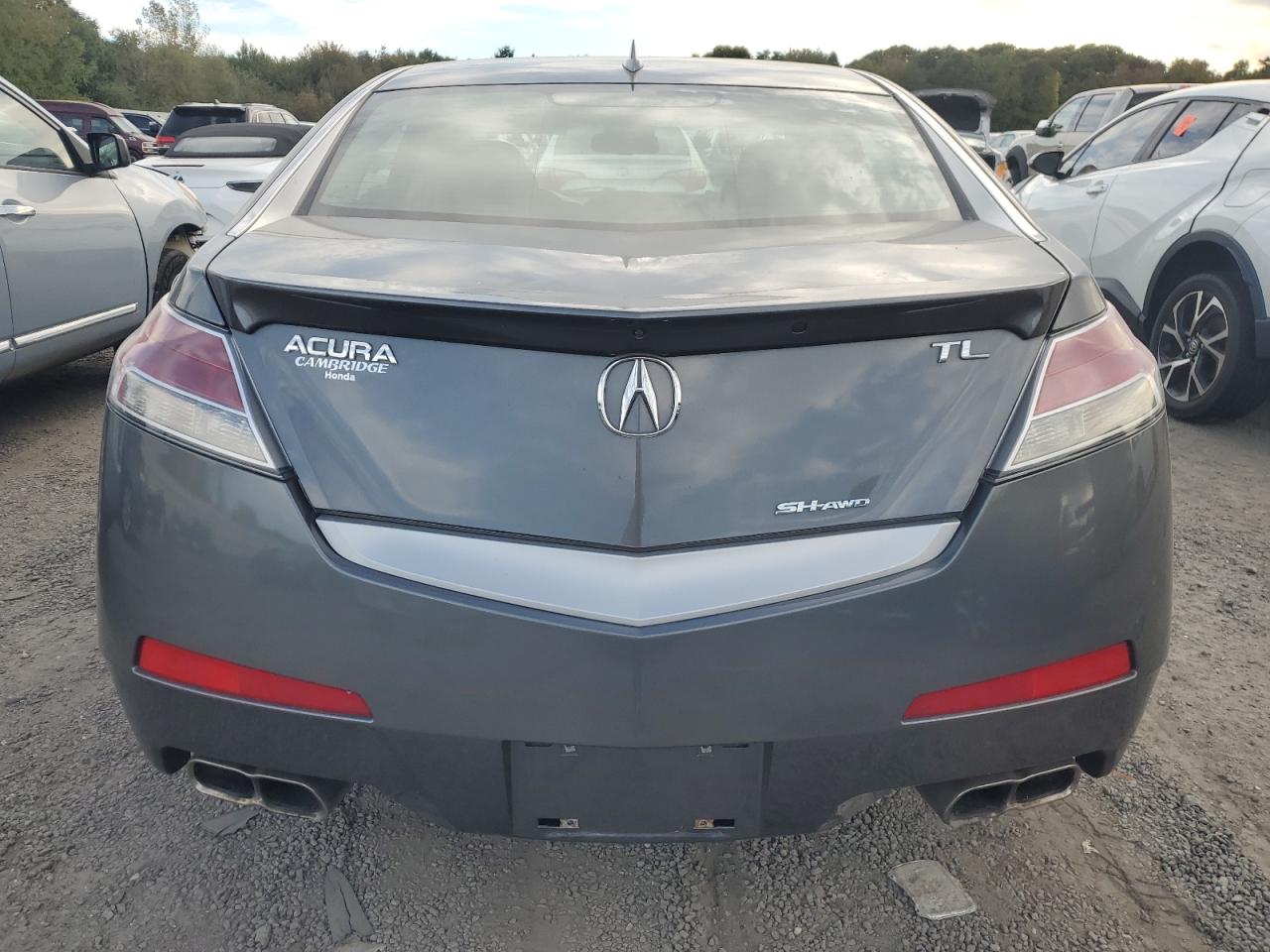 2010 Acura Tl VIN: 19UUA9F53AA008113 Lot: 74753594