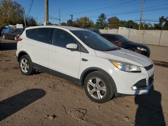  FORD ESCAPE 2014 White