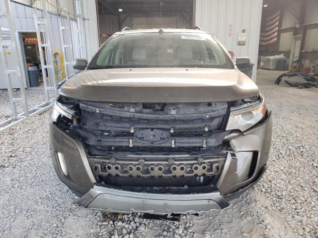  FORD EDGE 2013 Колір засмаги