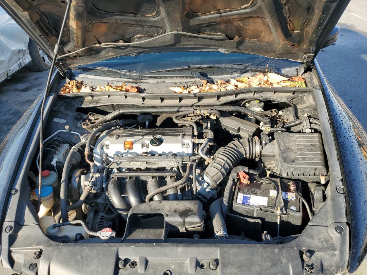 2010 Honda Accord Exl VIN: 1HGCP2F89AA126646 Lot: 77661674