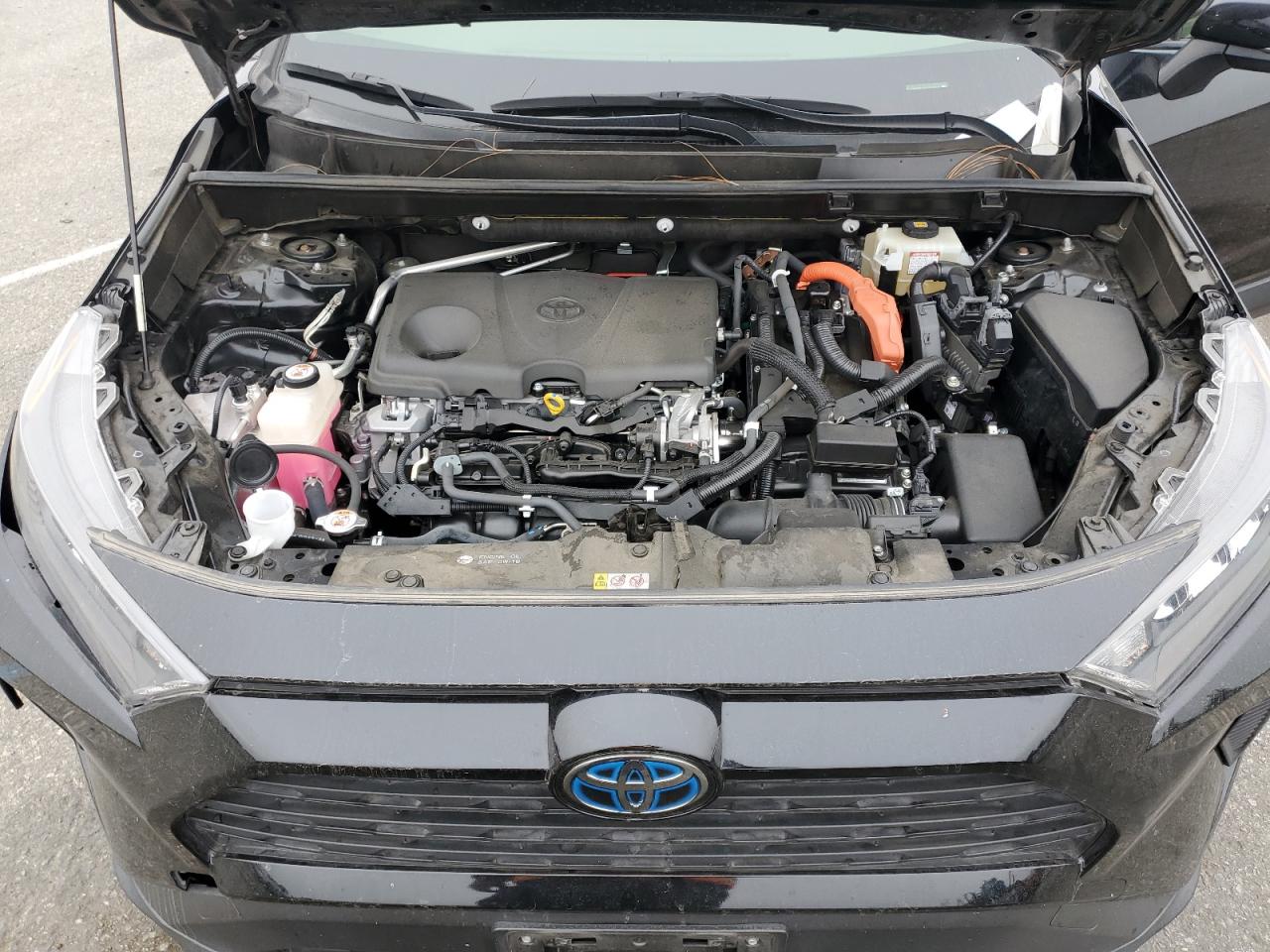 2019 Toyota RAV 4 - Image 13