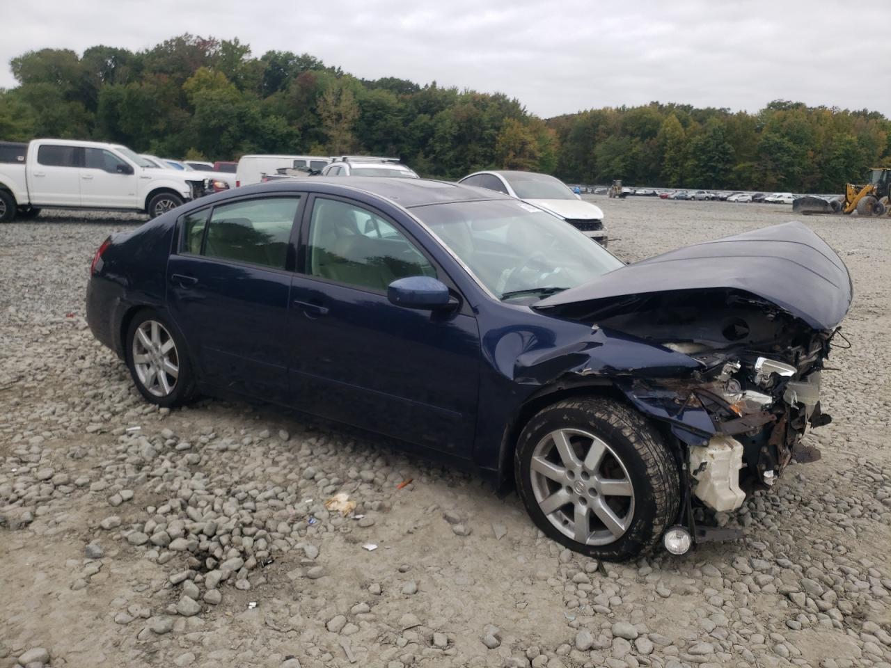 2005 Nissan Maxima Se VIN: 1N4BA41E15C869631 Lot: 74067494