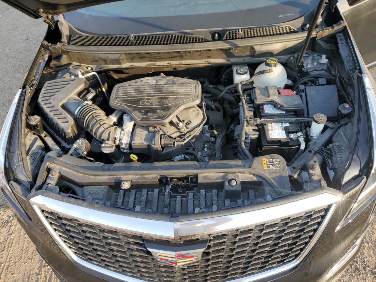 2023 Cadillac Xt5 Premium Luxury VIN: 1GYKNCRS7PZ151255 Lot: 77034274