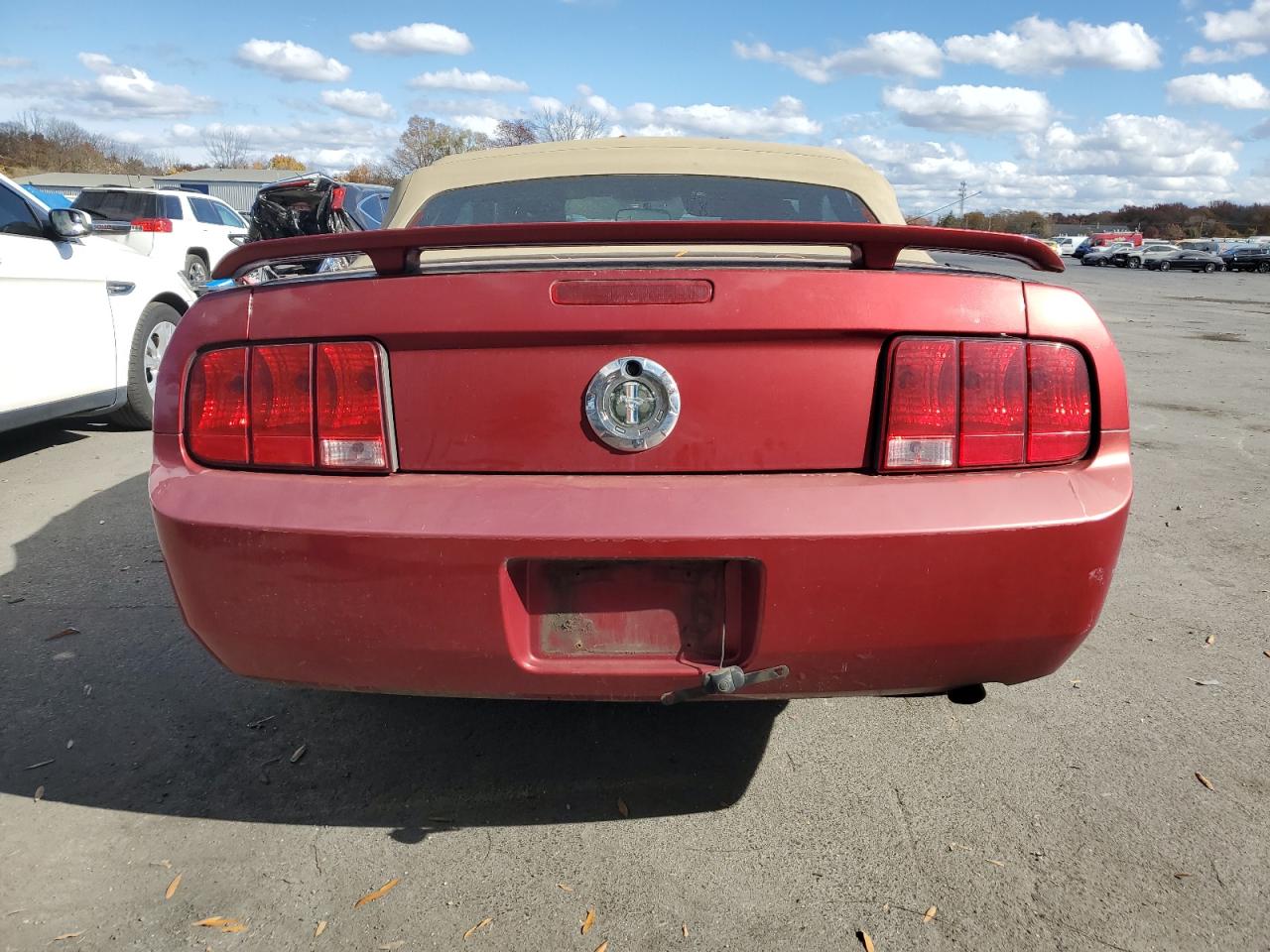 2006 Ford Mustang VIN: 1ZVFT84N465237315 Lot: 77735474