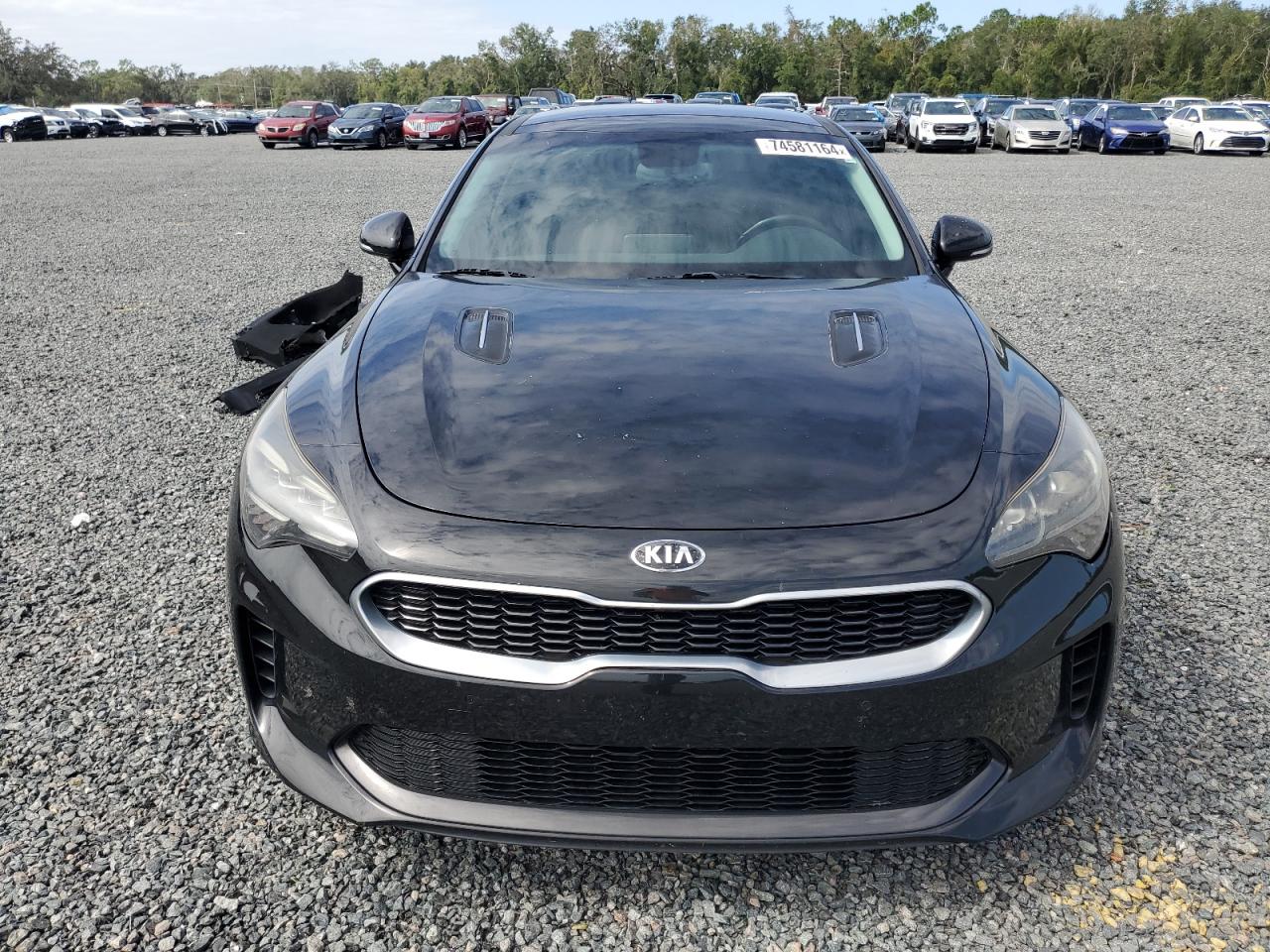 2018 Kia Stinger Premium VIN: KNAE25LA8J6024463 Lot: 74581164