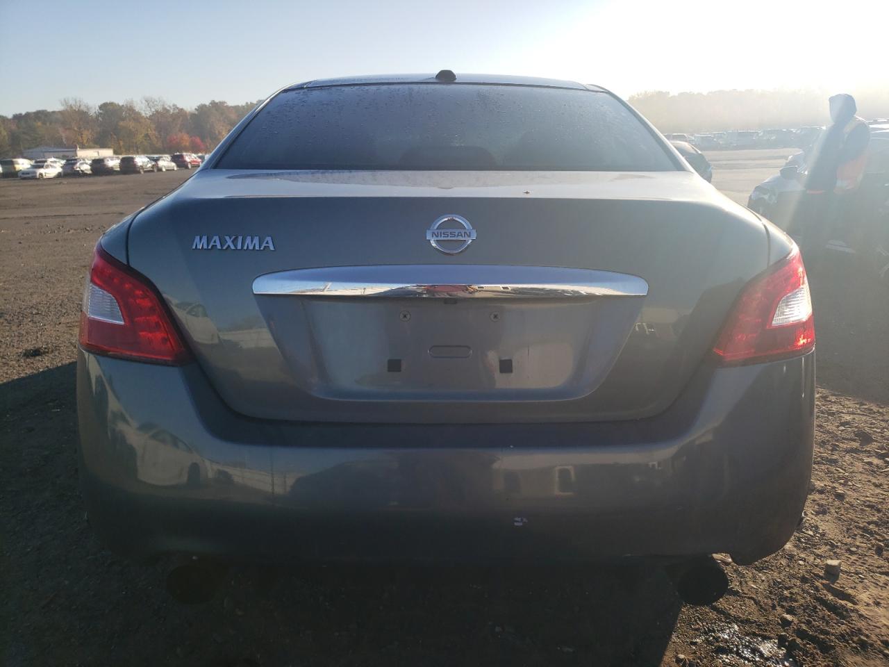 2009 Nissan Maxima S VIN: 1N4AA51E39C815626 Lot: 76865374