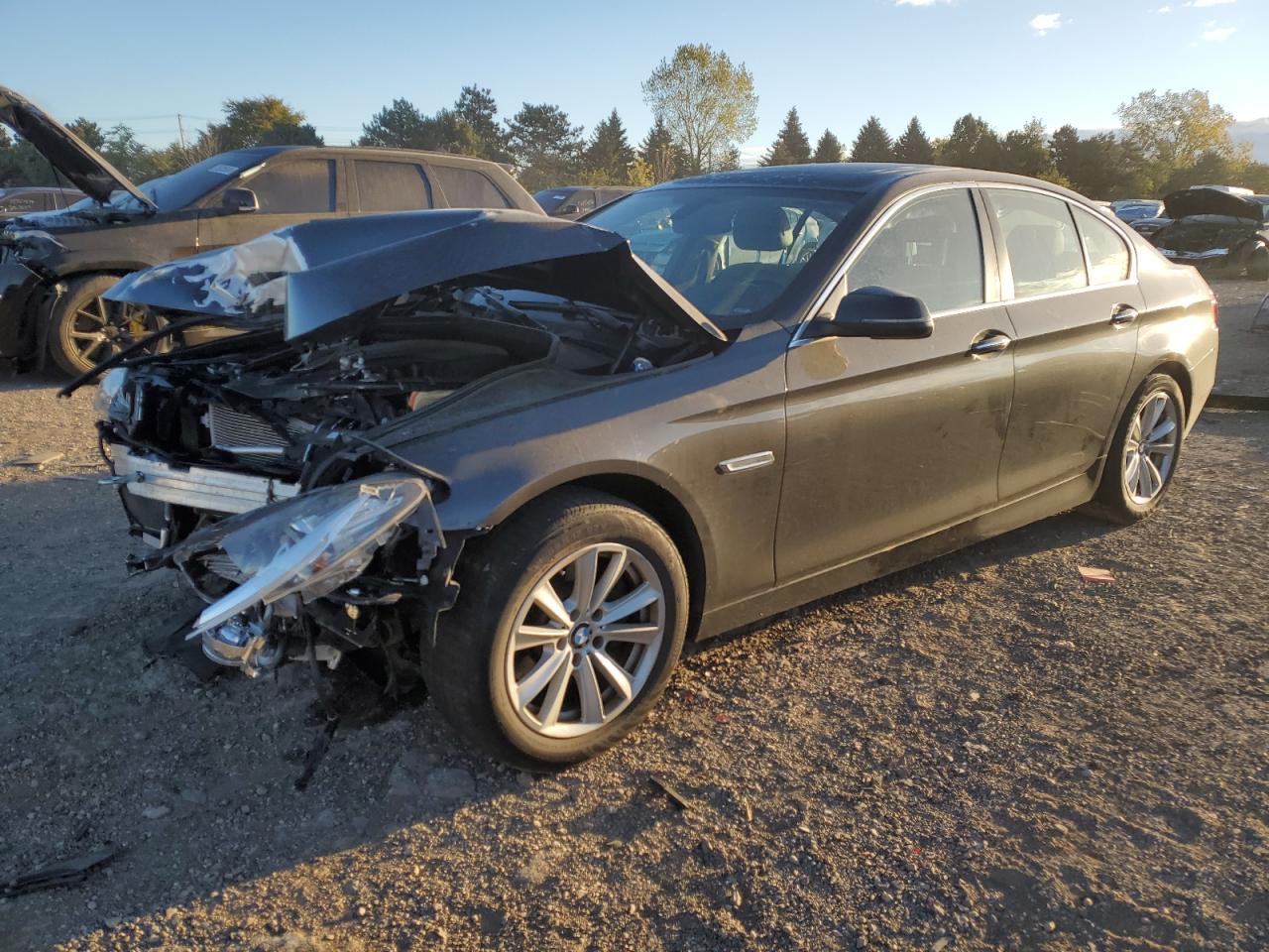 2014 BMW 5er - Image 1