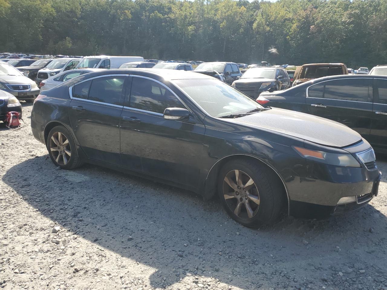 19UUA8F28DA007382 2013 Acura Tl