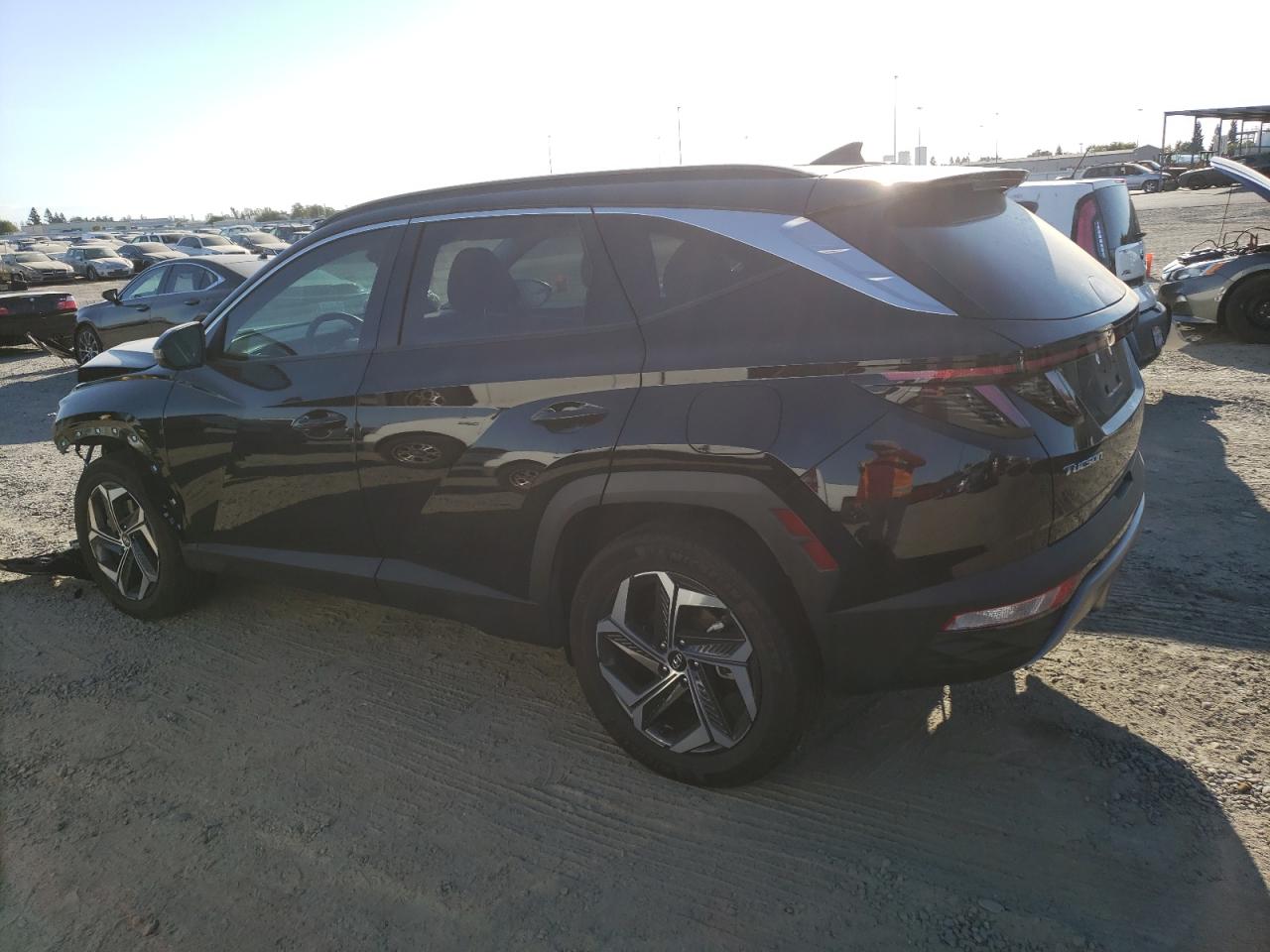 KM8JECA15PU116646 2023 HYUNDAI TUCSON - Image 2