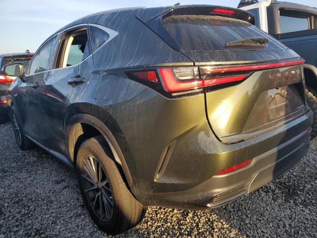 2T2ADCAZ4NC002446 Lexus NX 250  2