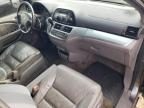 2010 Honda Odyssey Exl იყიდება Elgin-ში, IL - Normal Wear