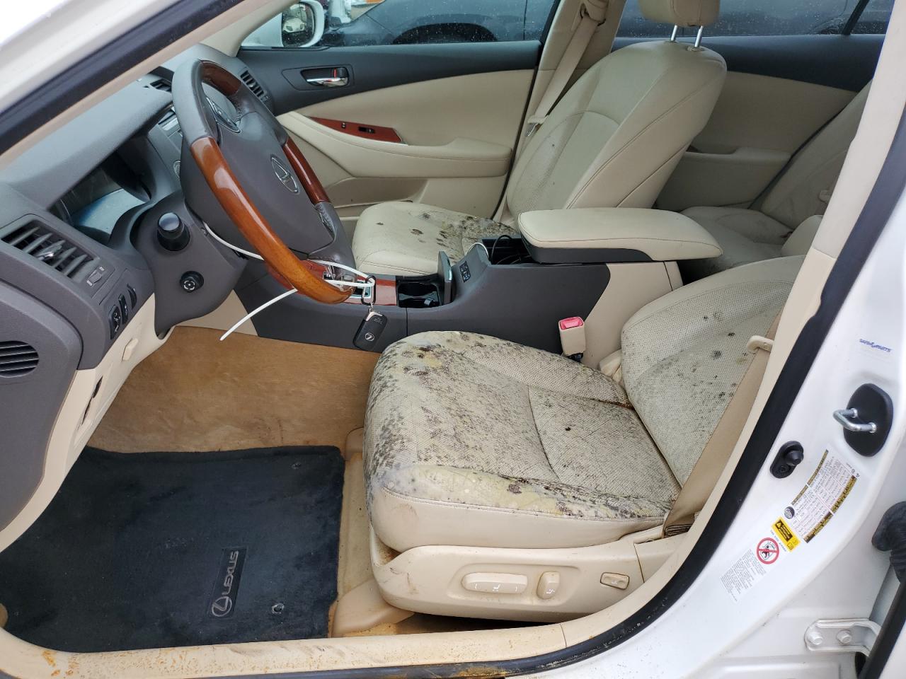 2010 Lexus Es 350 VIN: JTHBK1EG8A2376805 Lot: 74784184