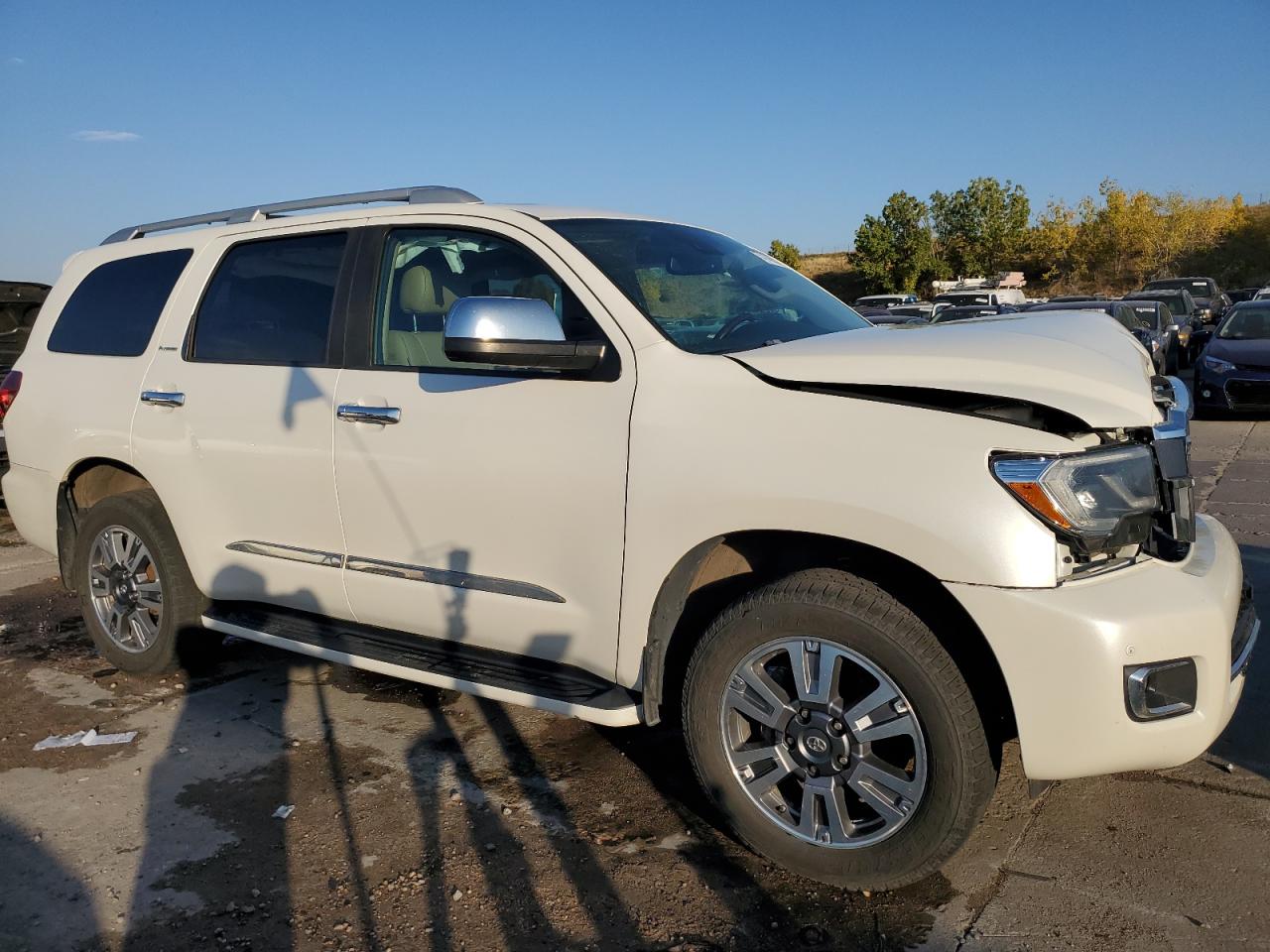 2019 Toyota Sequoia Platinum VIN: 5TDDY5G15KS168285 Lot: 74146624