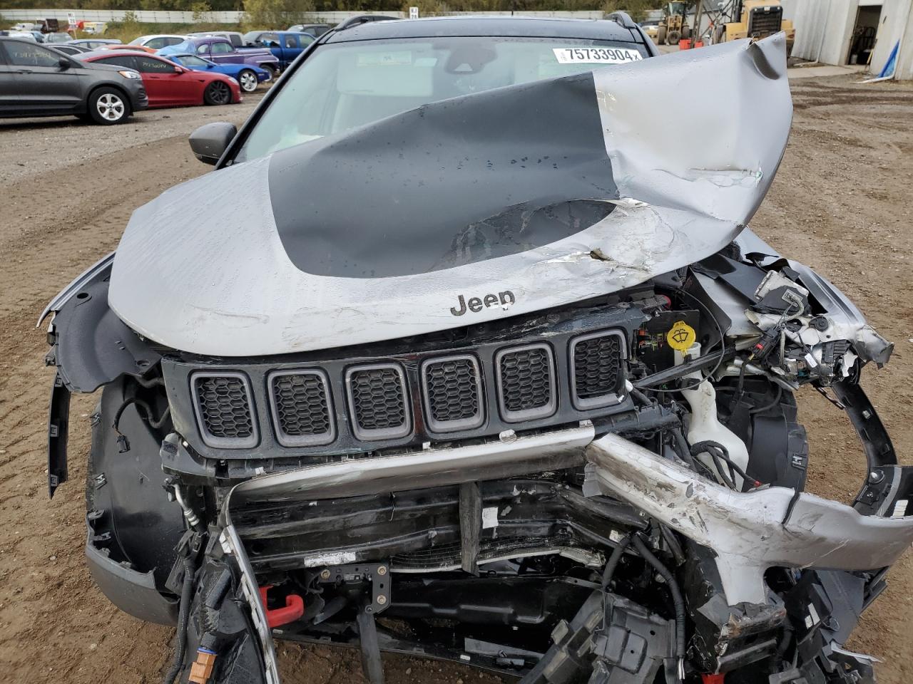 2018 Jeep Compass Trailhawk VIN: 3C4NJDDB9JT501060 Lot: 75733904