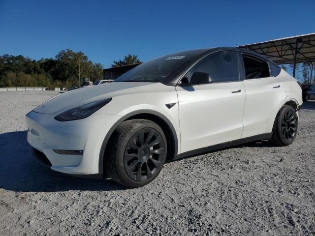 5YJYGDEE3MF193889 Tesla Model Y 