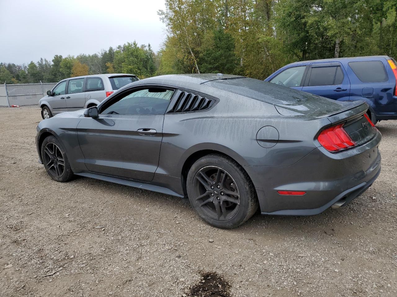 1FA6P8TH3K5177367 2019 FORD MUSTANG - Image 2