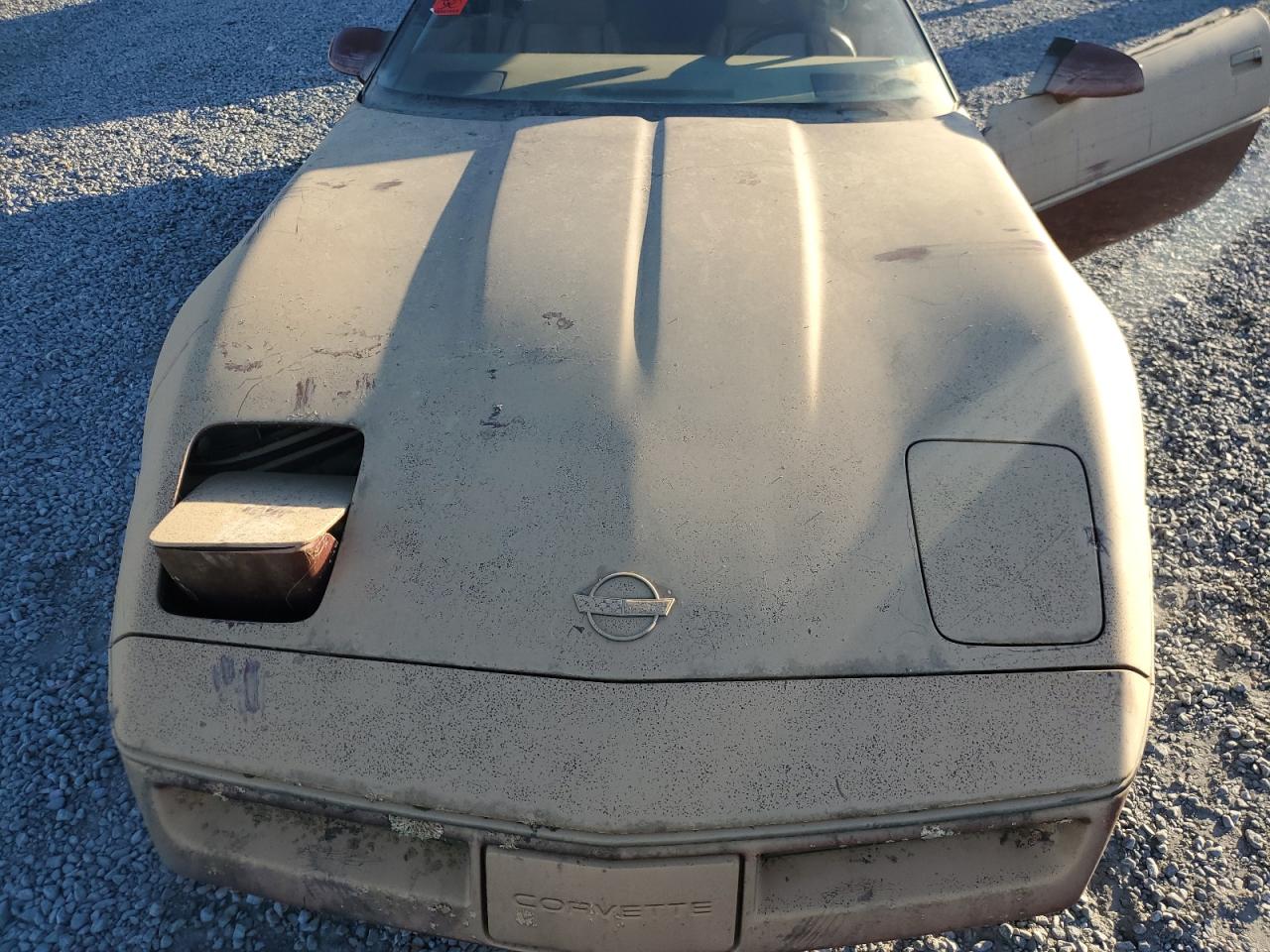 1G1YY3181J5121828 1988 Chevrolet Corvette