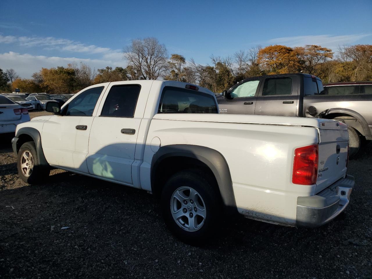 2005 Dodge Dakota - Image 2