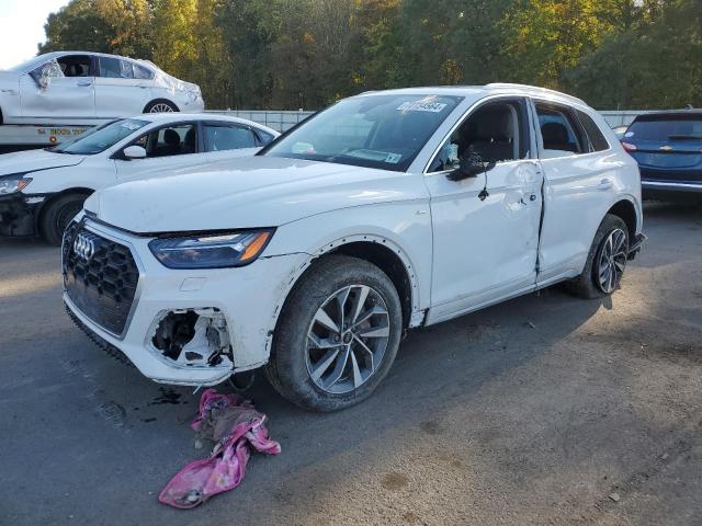  AUDI Q5 2023 Biały