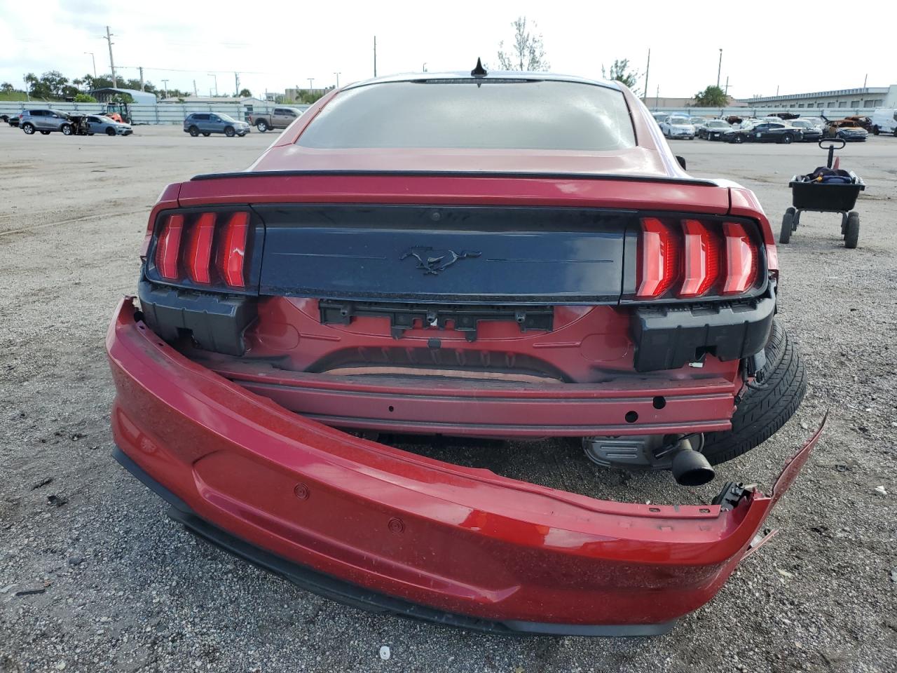 2022 Ford Mustang VIN: 1FA6P8TH7N5141203 Lot: 75531864