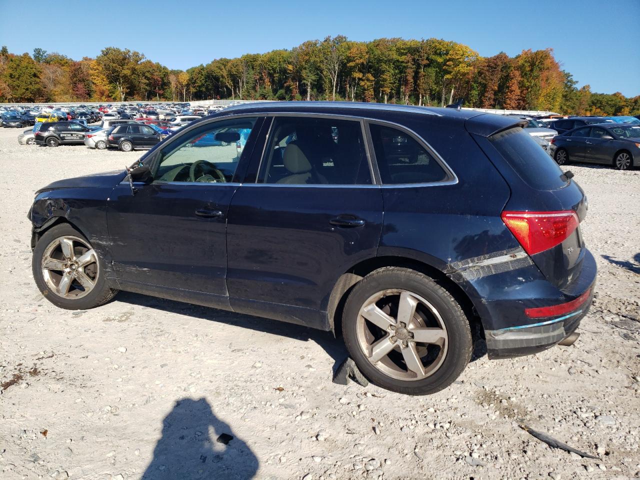 2010 Audi Q5 Premium Plus VIN: WA1LKAFP7AA087306 Lot: 74893414